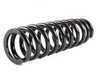 ES#1303335 - 29569-2 - Sport Spring Set - Lowers your vehicle and provides superb ride quality - H&R - Mercedes Benz