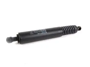 Hatch Strut - Priced Each
