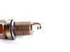 ES#1884282 - f8lcr - Spark Plugs - Priced Each - NGK - 