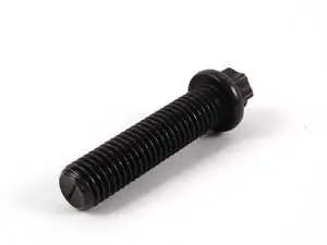 Torx Bolt