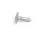 ES#72091 - 41358203482 - Torx Bolt Self Tapping - 3x21 - Genuine BMW - BMW