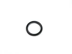 VANOS O-Ring