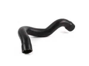 Radiator Hose - Lower 