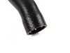 ES#24523 - 11531247261 - Radiator Hose - Lower  - Connects the thermostat to the lower radiator.  - Genuine BMW - BMW