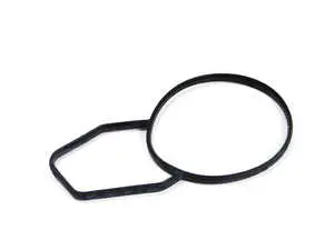 Thermostat Housing Gasket