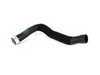 ES#1728561 - 2035010882 - Radiator Hose - Upper Hose - Genuine Mercedes Benz - Mercedes Benz