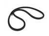ES#173228 - 63128380210 - E46 Headlight Sealing Gasket - Priced Each - Seals the headlight to the lens - Genuine BMW - BMW