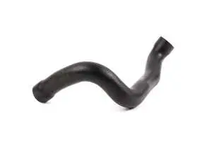 Radiator Hose - Upper