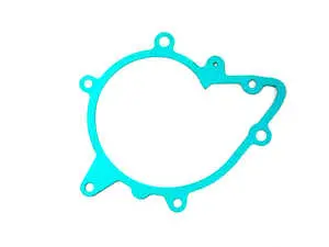 Water Pump Gasket
