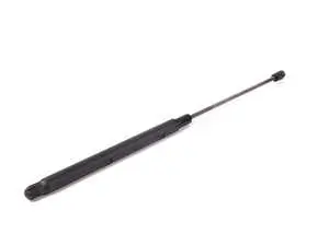 Hood Gas Strut