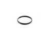 ES#36431 - 16121150391 - Fuel Sender O-ring - O-ring found on the fuel sender unit - Genuine BMW - BMW