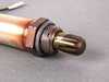 ES#1936798 - W01331603978 - Oxygen Sensor - (NO LONGER AVAILABLE) - Universal - Bosch - 