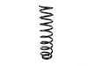 ES#1761361 - 2113211404 - Front Coil Spring - Priced Each - One (1) blue paint mark and two (2) white paint marks - Genuine Mercedes Benz - Mercedes Benz