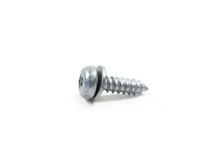 Self Tapping Screw