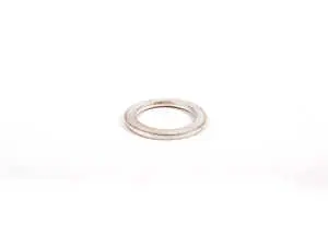 Sealing Ring - Priced Each