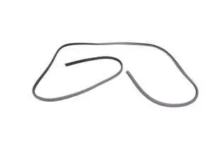 Sunroof Weather Strip Seal