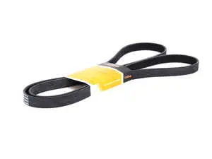 Accessory Belt (2115 MM)