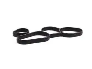 Engine Oil Cooler Gasket 