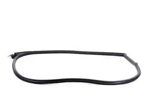 Door Seal - Left 