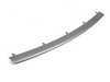 ES#74611 - 51117134096 - Front Bumper Trim - Center - Dark Silver. Inserted in to middle of the front bumper - Genuine BMW - BMW