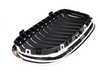 ES#255029 - 51137201967 - Grille - Chrome Frame with Black Grille - Genuine BMW - BMW
