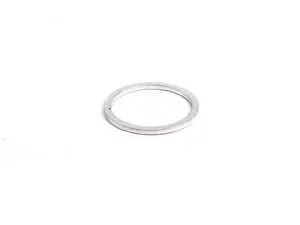 Sealing Ring
