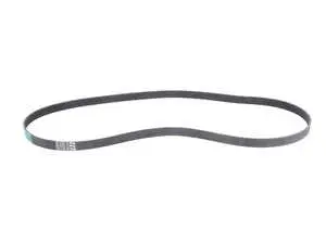Accessory Belt