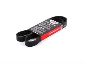 Accessory Belt