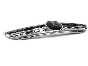 ES#1889882 - 21688017839776 - Radiator Grille Assembly - Matte Aluminum Brilliant Silver (Color Code 9776) - Genuine Mercedes Benz - Mercedes Benz