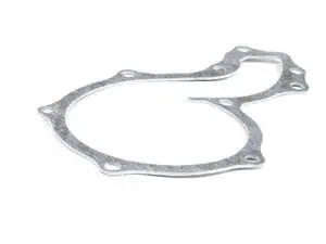 Water Pump Gasket