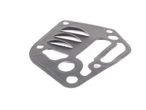 Oil Filter Adapter Gasket