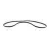 ES#129897 - 51718226715 - Trunk Seal - The rubber seal that is found between the body of the car and the trunk lid - Genuine BMW - BMW