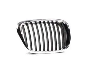 Kidney Grille - Right