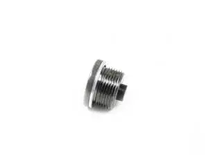 Screw Plug With Gasket Ring