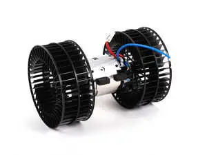 Blower Motor