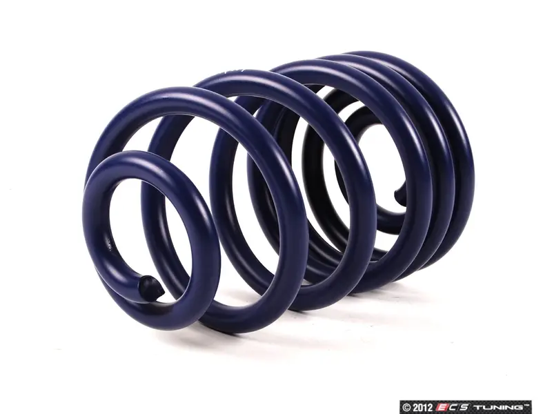 H&R ローダウンスプリングセット 29694-2 H&R - 29484 - Sport/race Spring Set