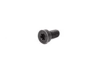 ES#253807 - 07149153503 - TORX BOLT - Genuine BMW - BMW