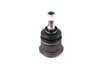 ES#2534807 - 31121126254 - Front Outer Ball Joint - Priced Each - Restore handling - URO - BMW