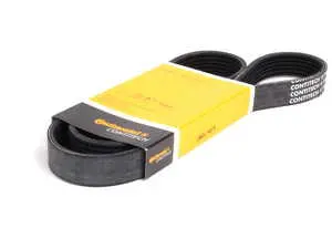 Accessory Belt - Alternator/Power Steering Pump