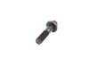 ES#22194 - 11311741808 - TORX-BOLT - Genuine BMW - BMW