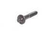 ES#22191 - 11311741254 - Torx Bolt - Priced Each - See MOQKT - Genuine BMW - BMW