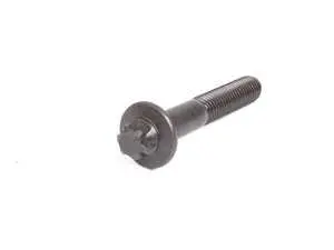 Torx Bolt - Priced Each