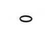 ES#23851 - 11421702905 - O-Ring - Oil Cooler Line (14.0 X 2.0 mm) - Genuine BMW - BMW