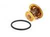 ES#2538857 - 94410612905 - Thermostat Insert - The thermostat housing is located inside the water pump assembly - Wahler - Porsche