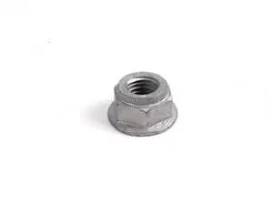 Hex Nut 