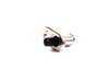 ES#168110 - 61318360875 - SWITCH ENG.RM.LT - Genuine BMW - BMW