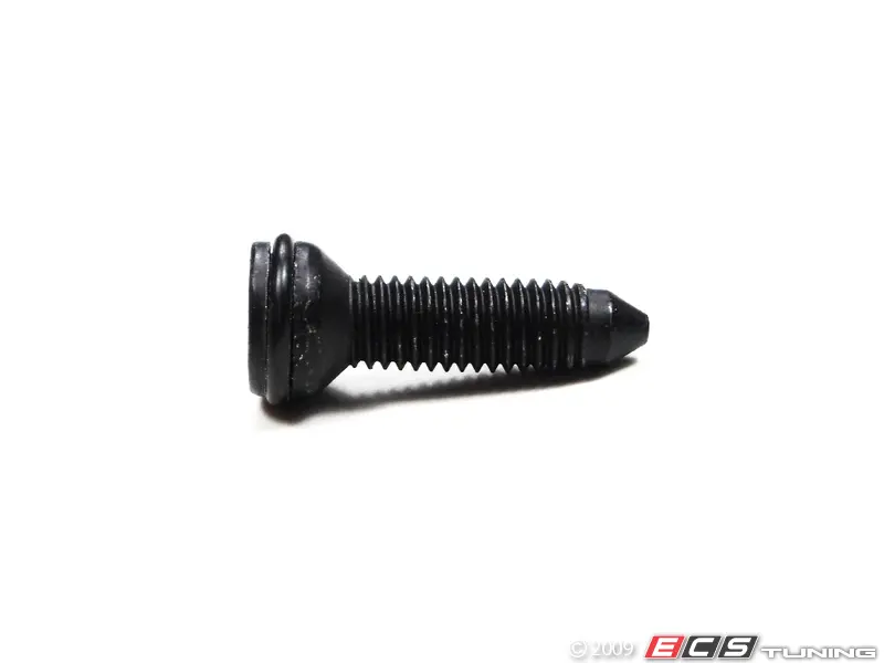 Genuine BMW - 54218410534 - Torx Bolt - priced each (54-21-8-410-534) 