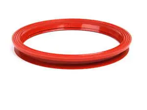 In-Tank Fuel Pump Gasket