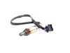ES#1975651 - 99660611800 - Post-Catalyst Oxygen Sensor - Priced Each - Fitment after the catalyst on either side - Two required - Bosch - Porsche