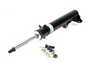 ES#2562392 - 22-001917 - B4 Touring Front Strut Assembly - Priced Each - Includes new mounting hardware - Bilstein - Mercedes Benz